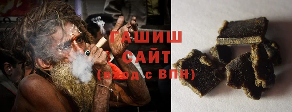 сатива Новозыбков