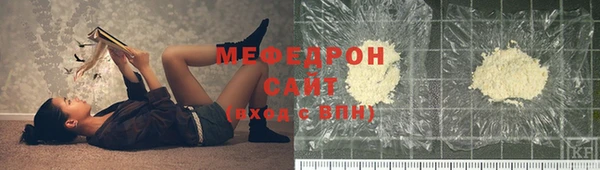 сатива Новозыбков