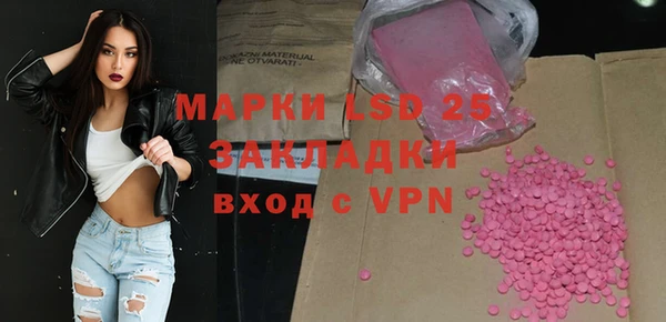 прущие грибы Новодвинск