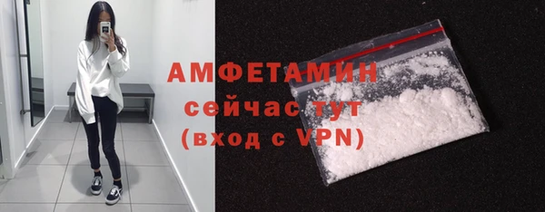 прущие грибы Новодвинск