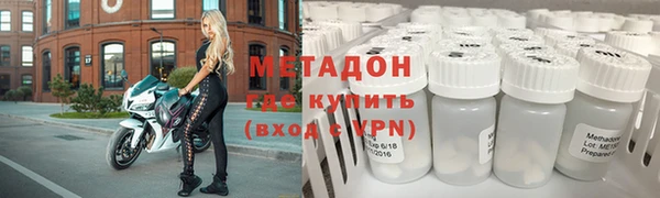 сатива Новозыбков