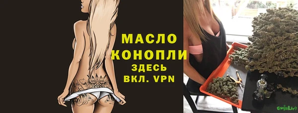 сатива Новозыбков