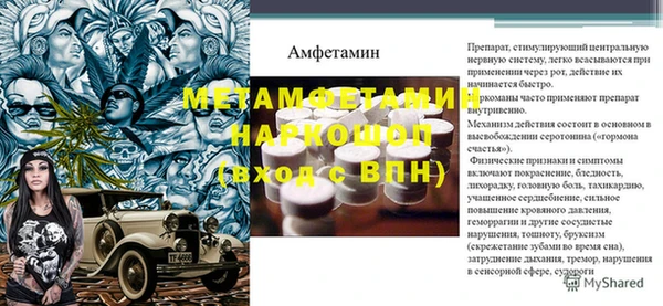 сатива Новозыбков