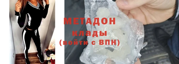 прущие грибы Новодвинск