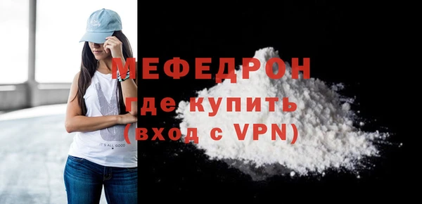 сатива Новозыбков