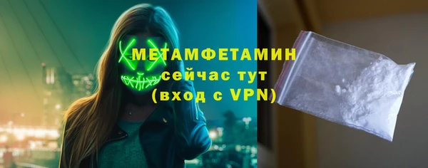 прущие грибы Новодвинск
