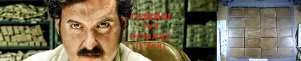 прущие грибы Новодвинск
