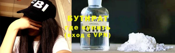 сатива Новозыбков