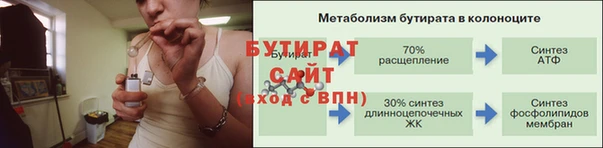 прущие грибы Новодвинск