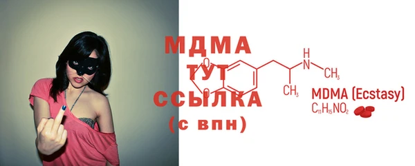 сатива Новозыбков