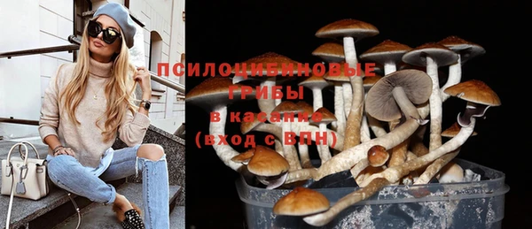 прущие грибы Новодвинск