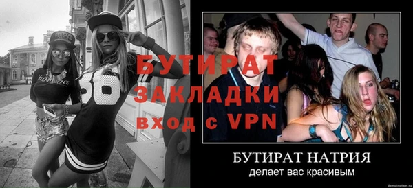 сатива Новозыбков