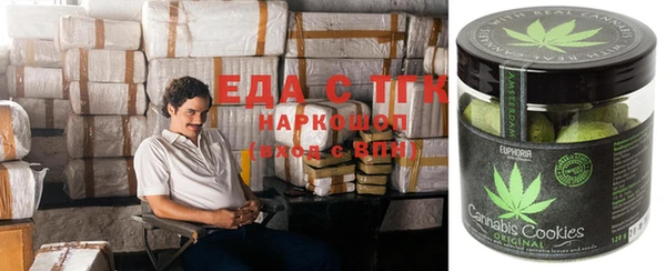прущие грибы Новодвинск