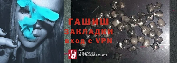 сатива Новозыбков